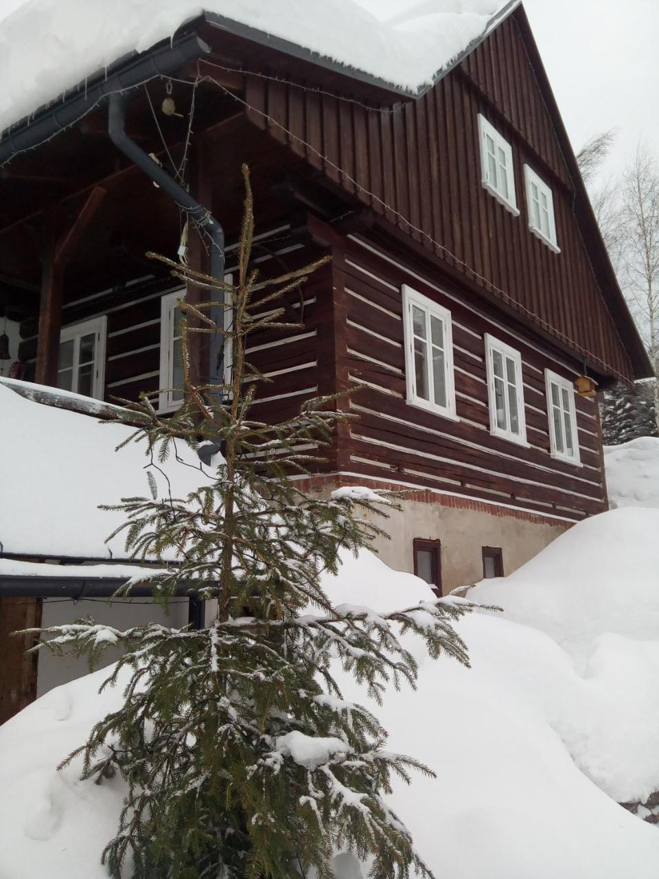 Frantiskov 17 Apartment Rokytnice nad Jizerou Exterior photo